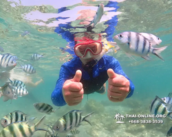 Underwater Odyssey snorkeling excursion Pattaya Thailand photo 14809