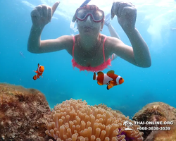 Underwater Odyssey snorkeling excursion in Pattaya Thailand photo 689