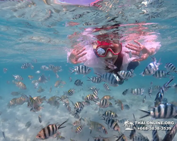 Underwater Odyssey snorkeling excursion in Pattaya Thailand photo 372