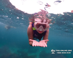 Underwater Odyssey snorkeling excursion in Pattaya Thailand photo 188