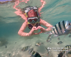 Underwater Odyssey snorkeling excursion Pattaya Thailand photo 19440