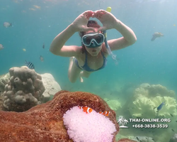 Underwater Odyssey snorkeling excursion Pattaya Thailand photo 19412