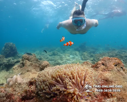 Underwater Odyssey snorkeling excursion Pattaya Thailand photo 11444