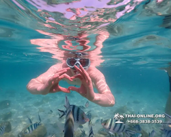 Underwater Odyssey snorkeling tour from Pattaya Thailand photo 14434