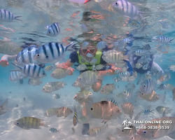 Underwater Odyssey snorkeling excursion in Pattaya Thailand photo 702