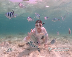 Underwater Odyssey snorkeling tour from Pattaya Thailand photo 18465