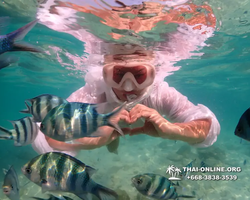 Underwater Odyssey snorkeling tour from Pattaya Thailand photo 14279