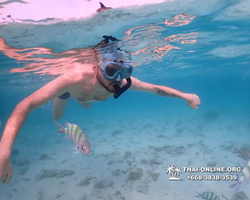 Underwater Odyssey snorkeling excursion Pattaya Thailand photo 11062