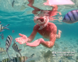 Underwater Odyssey snorkeling excursion Pattaya Thailand photo 14210
