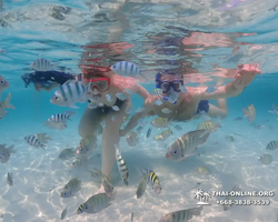 Underwater Odyssey snorkeling excursion in Pattaya Thailand photo 845