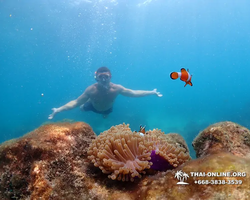 Underwater Odyssey snorkeling excursion in Pattaya Thailand photo 634