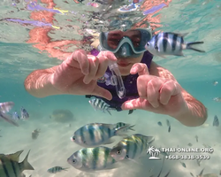 Underwater Odyssey snorkeling excursion Pattaya Thailand photo 19299