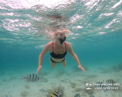 Underwater Odyssey snorkeling excursion in Pattaya Thailand photo 27