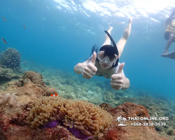 Underwater Odyssey snorkeling excursion Pattaya Thailand photo 11397