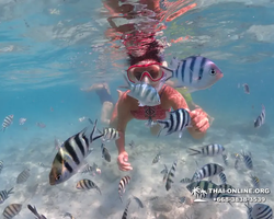 Underwater Odyssey snorkeling excursion in Pattaya Thailand photo 497