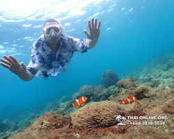 Underwater Odyssey snorkeling excursion Pattaya Thailand photo 11409