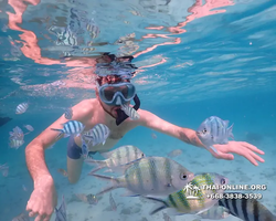 Underwater Odyssey snorkeling excursion Pattaya Thailand photo 11055