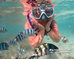 Underwater Odyssey snorkeling excursion Pattaya Thailand photo 19149