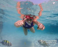 Underwater Odyssey snorkeling excursion in Pattaya Thailand photo 985