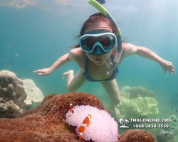 Underwater Odyssey snorkeling excursion Pattaya Thailand photo 19345