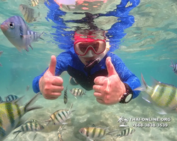 Underwater Odyssey snorkeling excursion Pattaya Thailand photo 14752