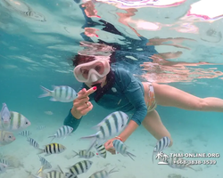 Underwater Odyssey snorkeling excursion in Pattaya Thailand photo 134