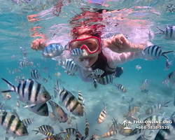 Underwater Odyssey snorkeling excursion in Pattaya Thailand photo 369