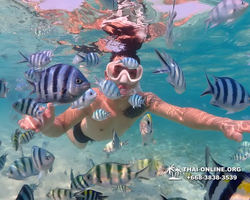 Underwater Odyssey snorkeling excursion Pattaya Thailand photo 11269