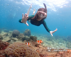 Underwater Odyssey snorkeling excursion Pattaya Thailand photo 11350