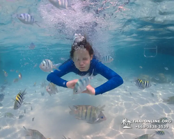 Underwater Odyssey snorkeling excursion in Pattaya Thailand photo 857