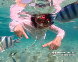 Underwater Odyssey snorkeling tour from Pattaya Thailand photo 14276