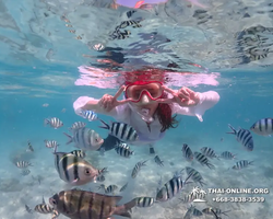 Underwater Odyssey snorkeling excursion in Pattaya Thailand photo 452