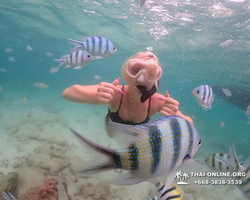 Underwater Odyssey snorkeling excursion in Pattaya Thailand photo 124