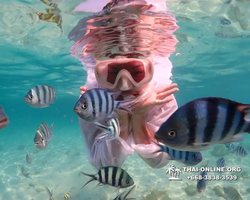 Underwater Odyssey snorkeling tour from Pattaya Thailand photo 14300