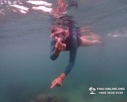 Underwater Odyssey snorkeling excursion in Pattaya Thailand photo 321