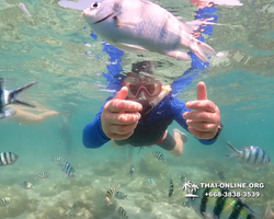 Underwater Odyssey snorkeling excursion Pattaya Thailand photo 14867