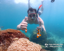 Underwater Odyssey snorkeling excursion in Pattaya Thailand photo 441