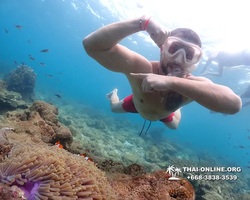 Underwater Odyssey snorkeling excursion Pattaya Thailand photo 11417
