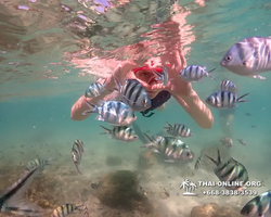 Underwater Odyssey snorkeling excursion Pattaya Thailand photo 19286