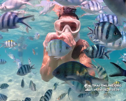 Underwater Odyssey snorkeling excursion Pattaya Thailand photo 11280