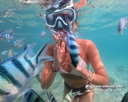 Underwater Odyssey snorkeling tour from Pattaya Thailand photo 14143