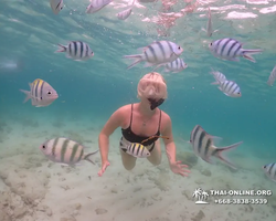 Underwater Odyssey snorkeling excursion in Pattaya Thailand photo 240