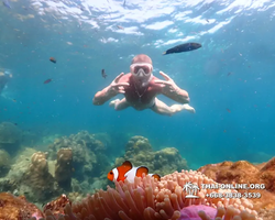 Underwater Odyssey snorkeling tour from Pattaya Thailand photo 14478