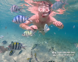 Underwater Odyssey snorkeling excursion Pattaya Thailand photo 11192