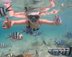 Underwater Odyssey snorkeling tour from Pattaya Thailand photo 14472