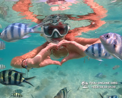 Underwater Odyssey snorkeling tour from Pattaya Thailand photo 14178