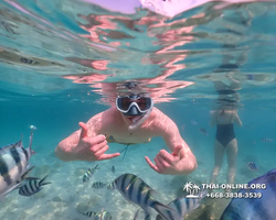 Underwater Odyssey snorkeling tour from Pattaya Thailand photo 14495