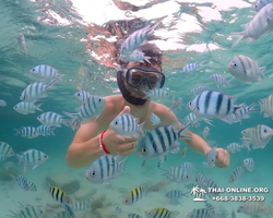 Underwater Odyssey snorkeling excursion in Pattaya Thailand photo 16