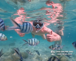 Underwater Odyssey snorkeling tour from Pattaya Thailand photo 14161