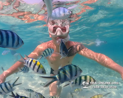 Underwater Odyssey snorkeling excursion Pattaya Thailand photo 11289